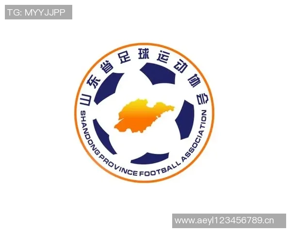 中国足球协会推动改革与发展政策助力中国足球腾飞的新机遇与挑战分析